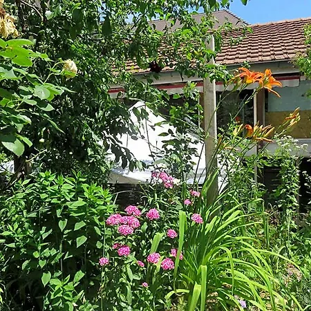 Bnb Erlach Bed and breakfast 3*