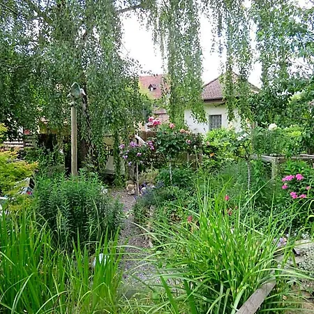 Bnb Erlach Bed and breakfast Erlach