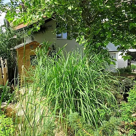 Bnb Erlach