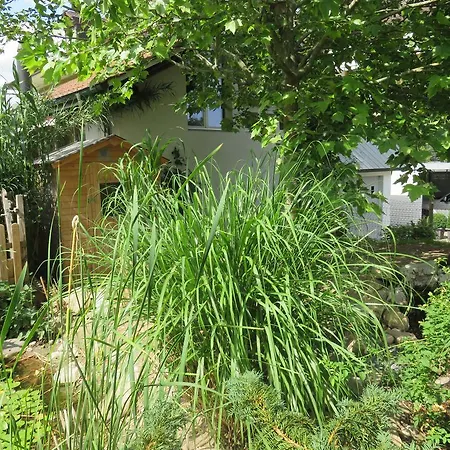 Bnb Erlach Bed and Breakfast 3*