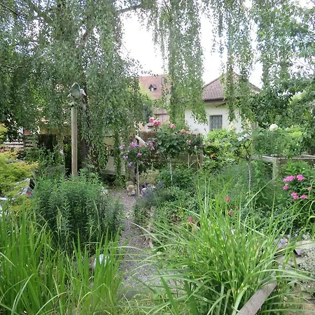 Bnb Erlach Bed & Breakfast