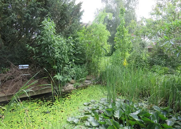 Bed and Breakfast Bnb Erlach Erlach