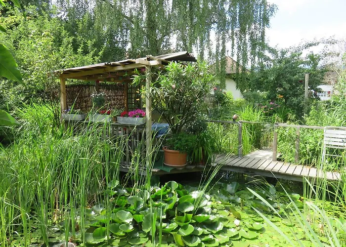 BnB Erlach Frühstückspension