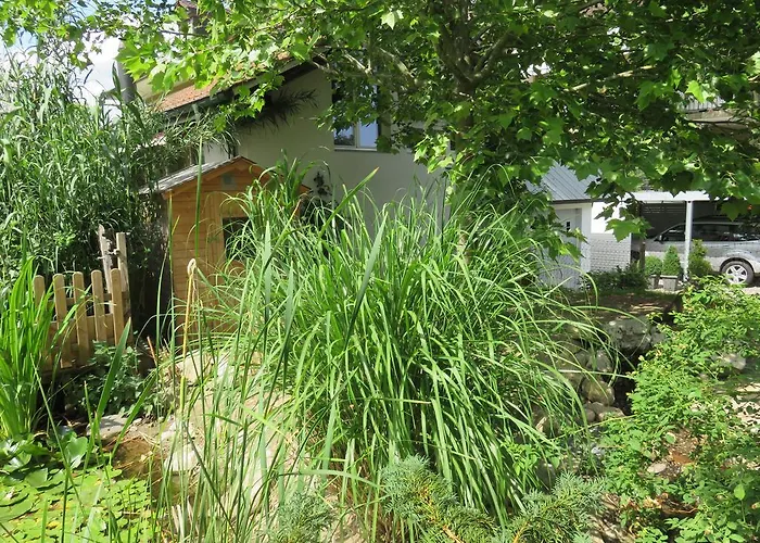 Bnb Erlach Bed and Breakfast 3*