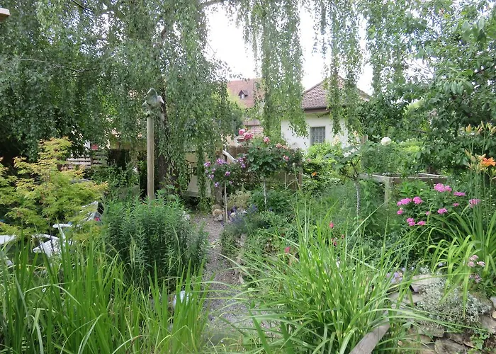 BnB Erlach Frühstückspension