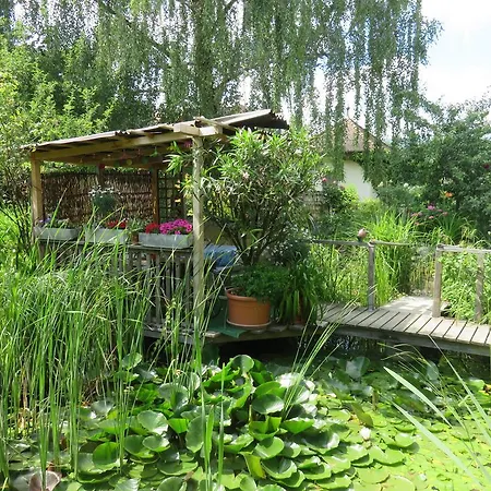 BnB Erlach Frühstückspension