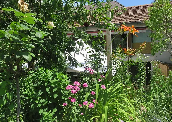 Bnb Erlach